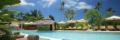 Experience ultimate relaxation at a sunlit tropical poolside resort featuring palm trees and blue skies.